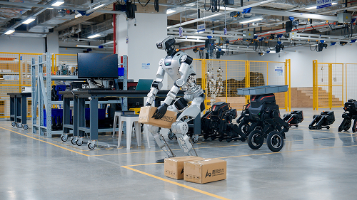 Humanoid Robots Oli